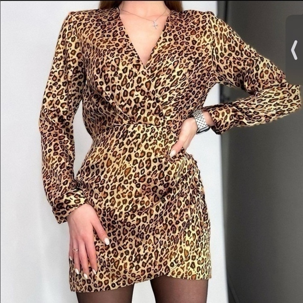 Zara Animal Print Long Sleeve Dress